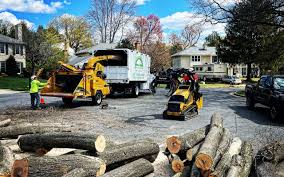 Best Emergency Tree Removal  in Brewster, WA