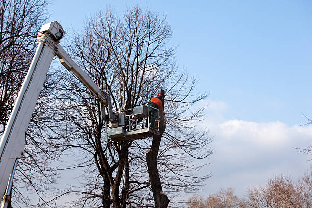 Best Aeration Services  in Brewster, WA